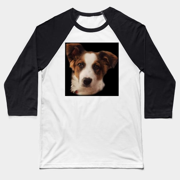 Charly Australian Shepherd Mix Baseball T-Shirt by Noamdelf06